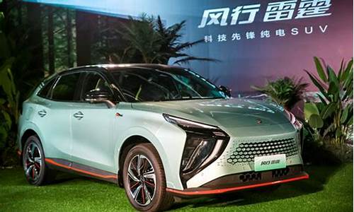 东风风行 suv_